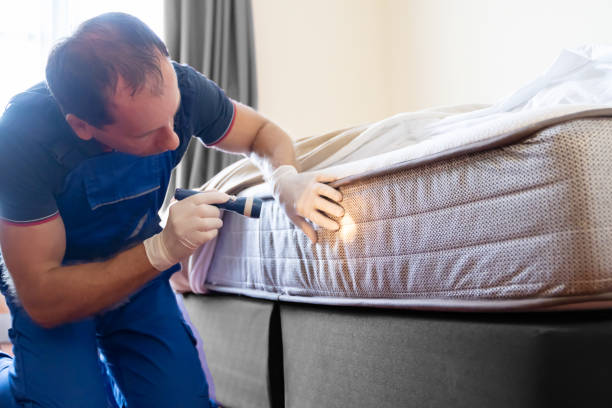 Best Fumigation Services  in Eagle, CO